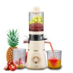 Extracteur de Jus Robuste BIO DRINK 100W à pressage à froid